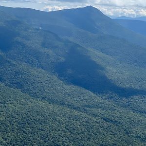 Meet your Posher, Rose